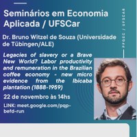 Seminário de Pesquisa em Economia - sexta-feira (às 14hs) - 22/11/2024 - Dr. Bruno Witzel de Souza (Universidade de Tubingen/ALE)